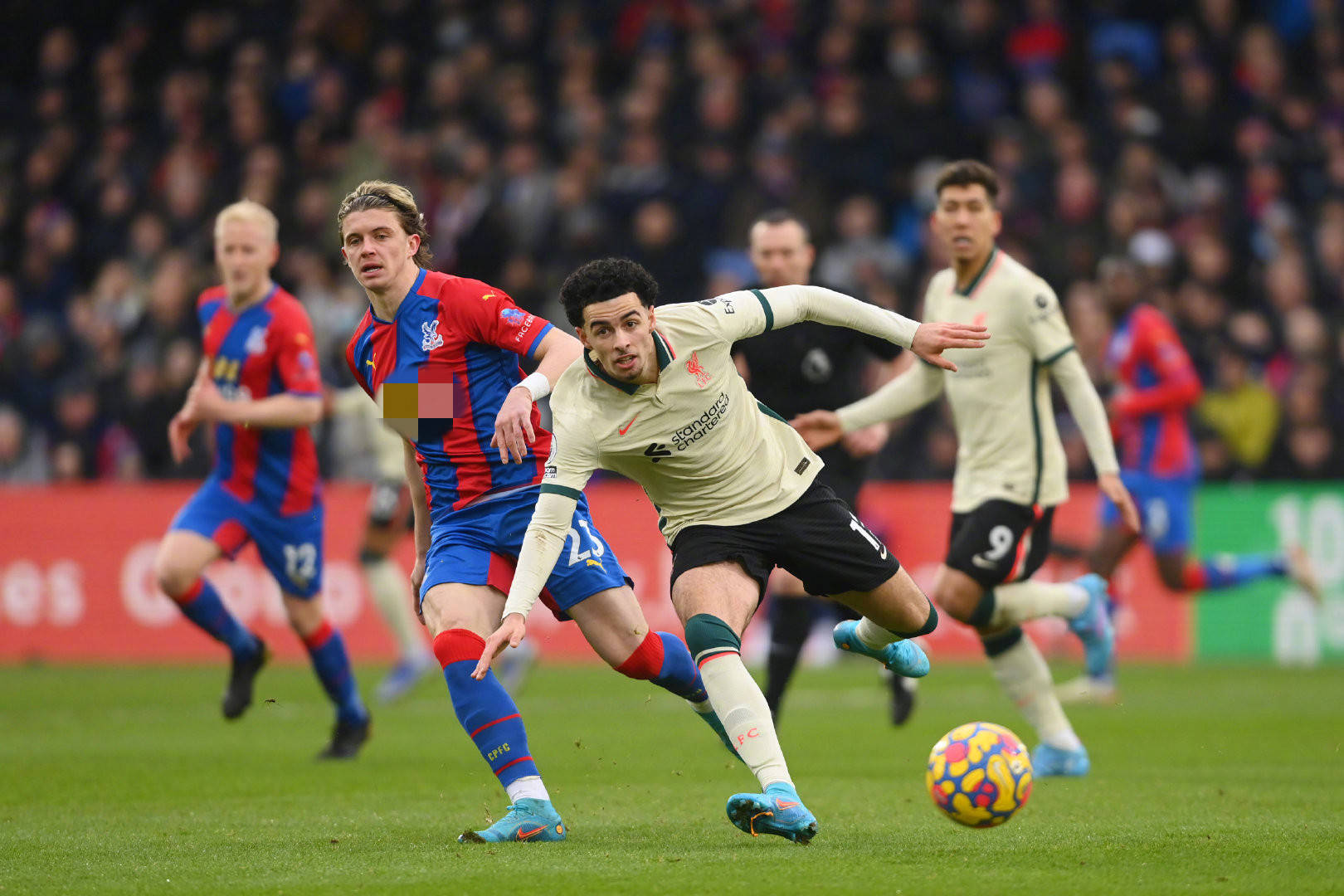 和合作的姿 和合作的姿